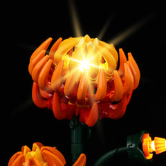 Light Kit For LEGO® Chrysanthemum 10368