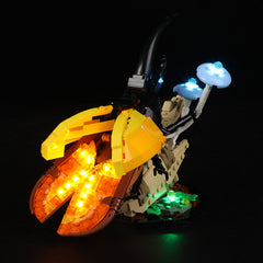Light Kit For LEGO® The Insect Collection 21342