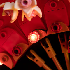 Light Kit For LEGO® Good Fortune 80117