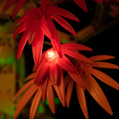 Light Kit For LEGO® Japanese Red Maple Bonsai Tree 10348