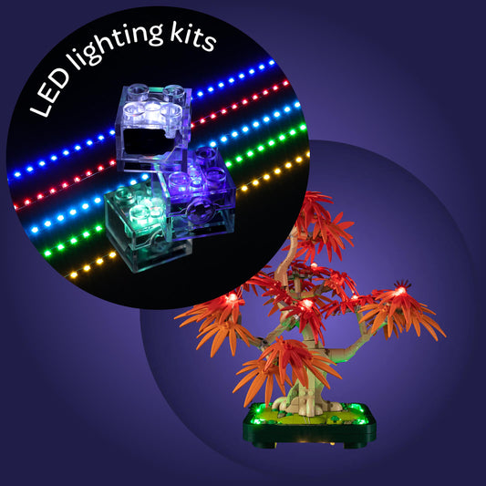 Light Kit For Japanese Red Maple Bonsai Tree 10348