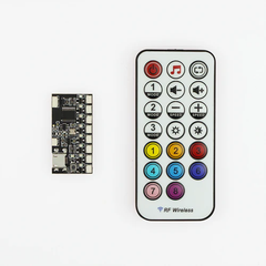 Remote Control + Receiver Board