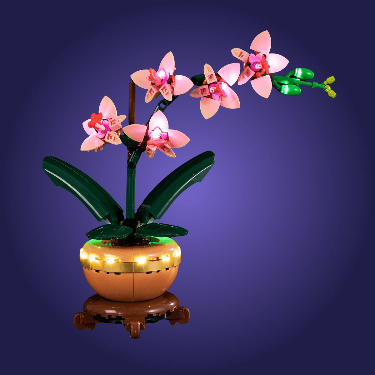LEGO orchid set 10343 on a reflective surface with a dark purple background