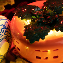 Light Kit For LEGO® Good Fortune 80117