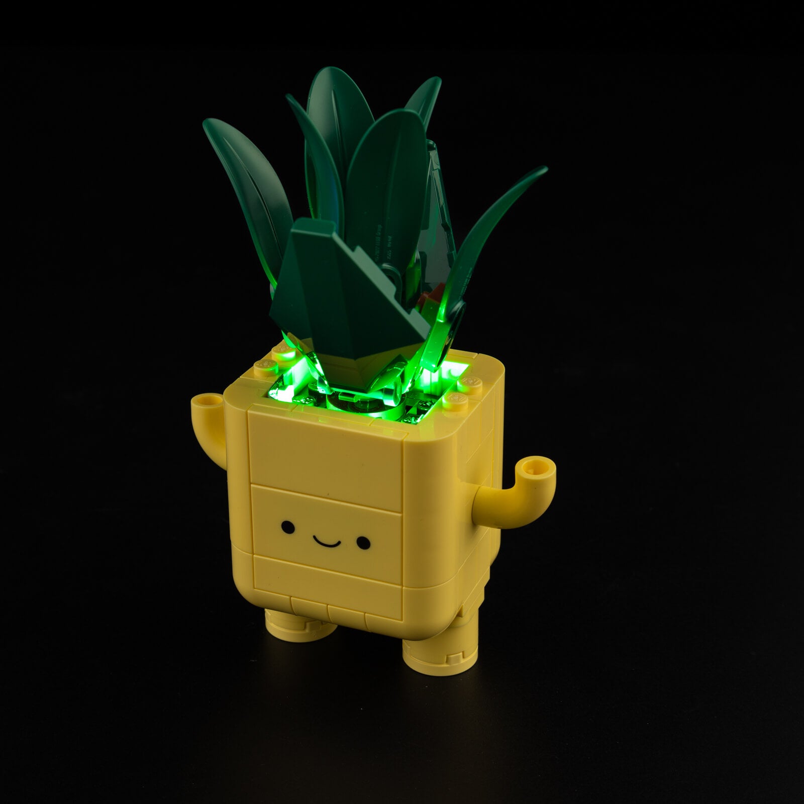 Light Kit For Happy Plants 10349