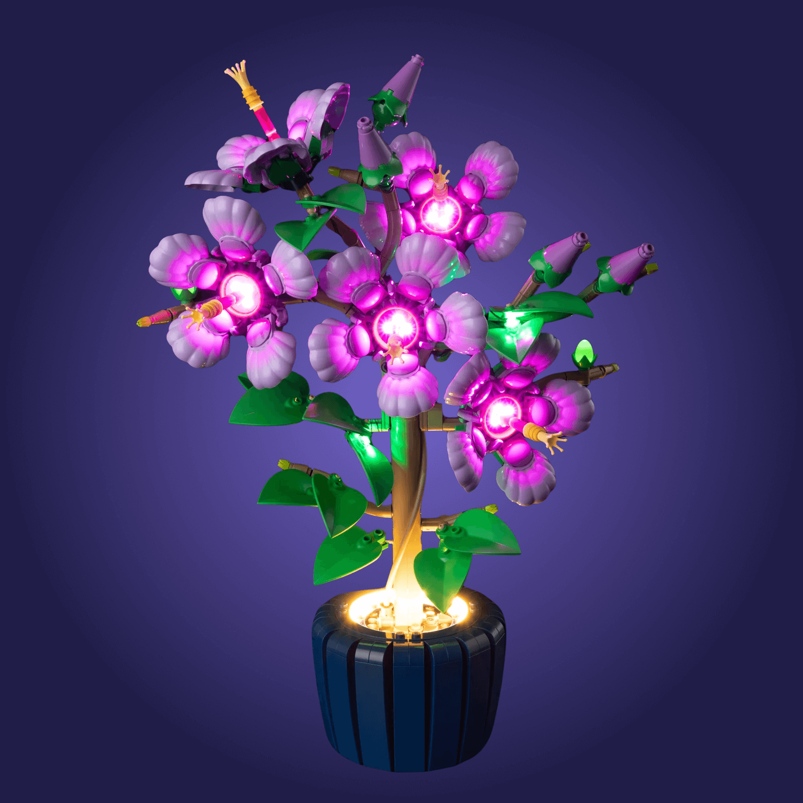 Light Kit For Hibiscus 10372