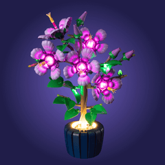Light Kit For Hibiscus 10372
