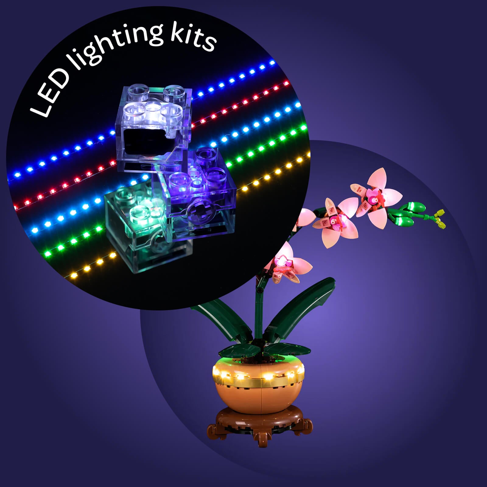 Light Kit For Mini Orchid 10343