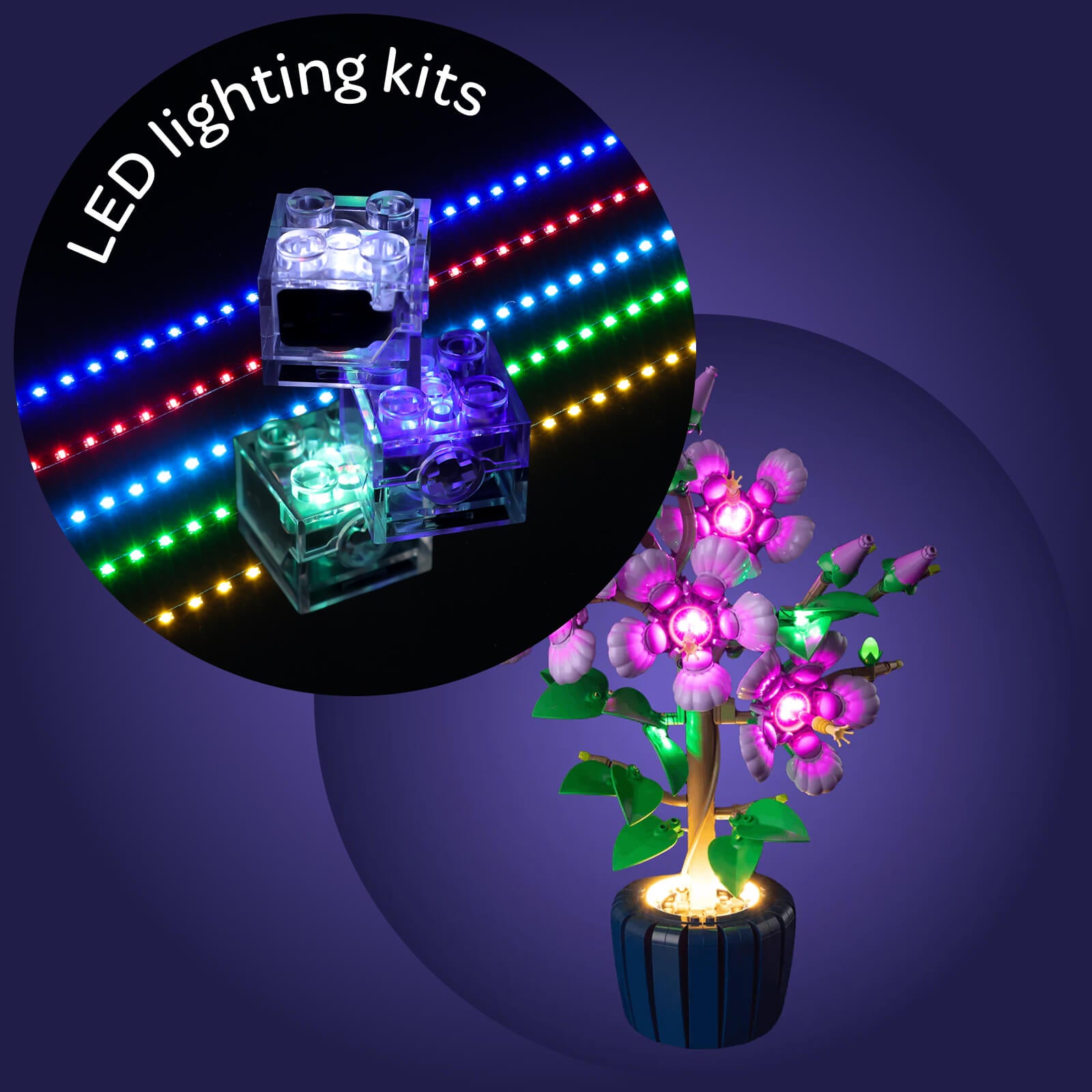 Light Kit For Hibiscus 10372