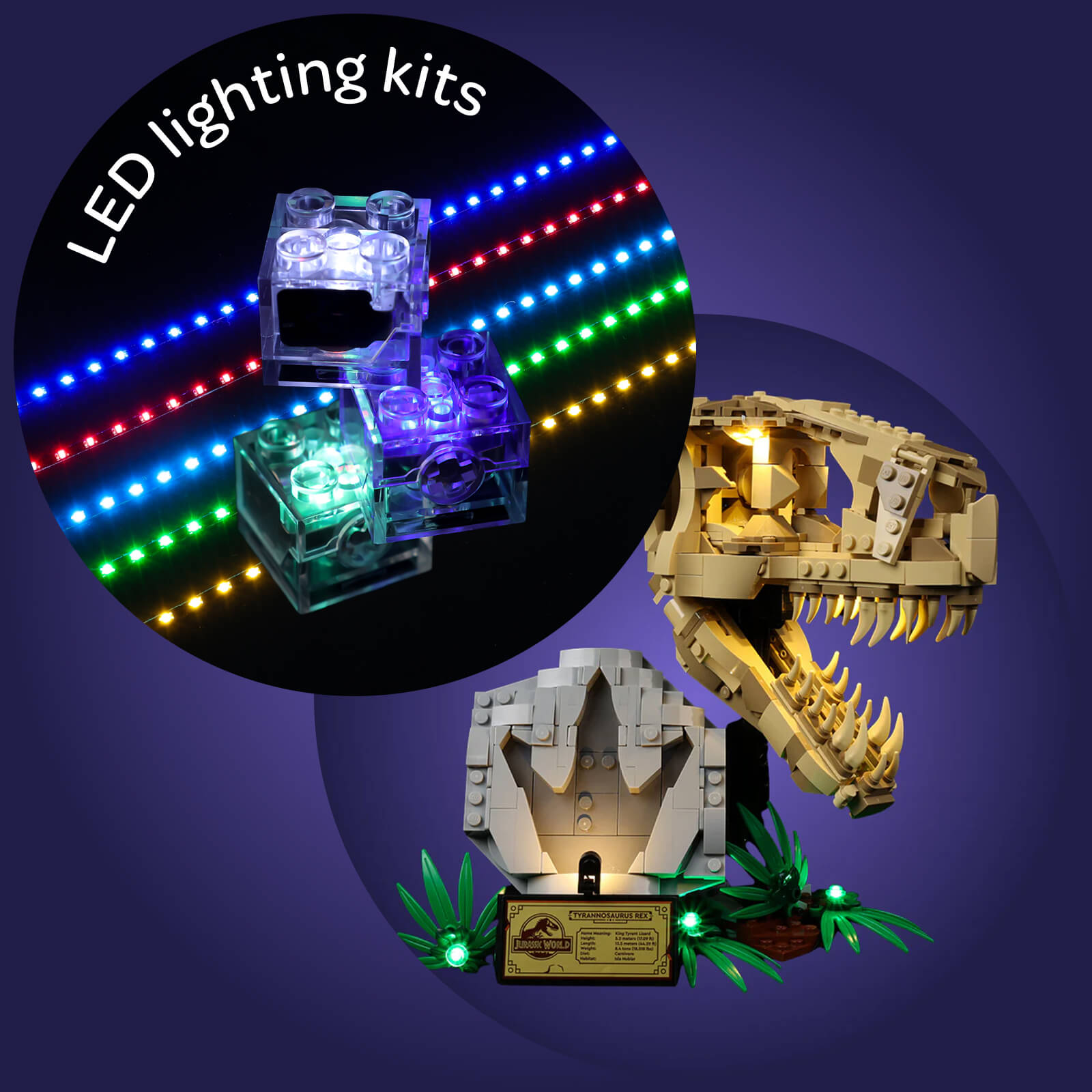 Light Kit For Dinosaur Fossils: T. rex Skull 76964