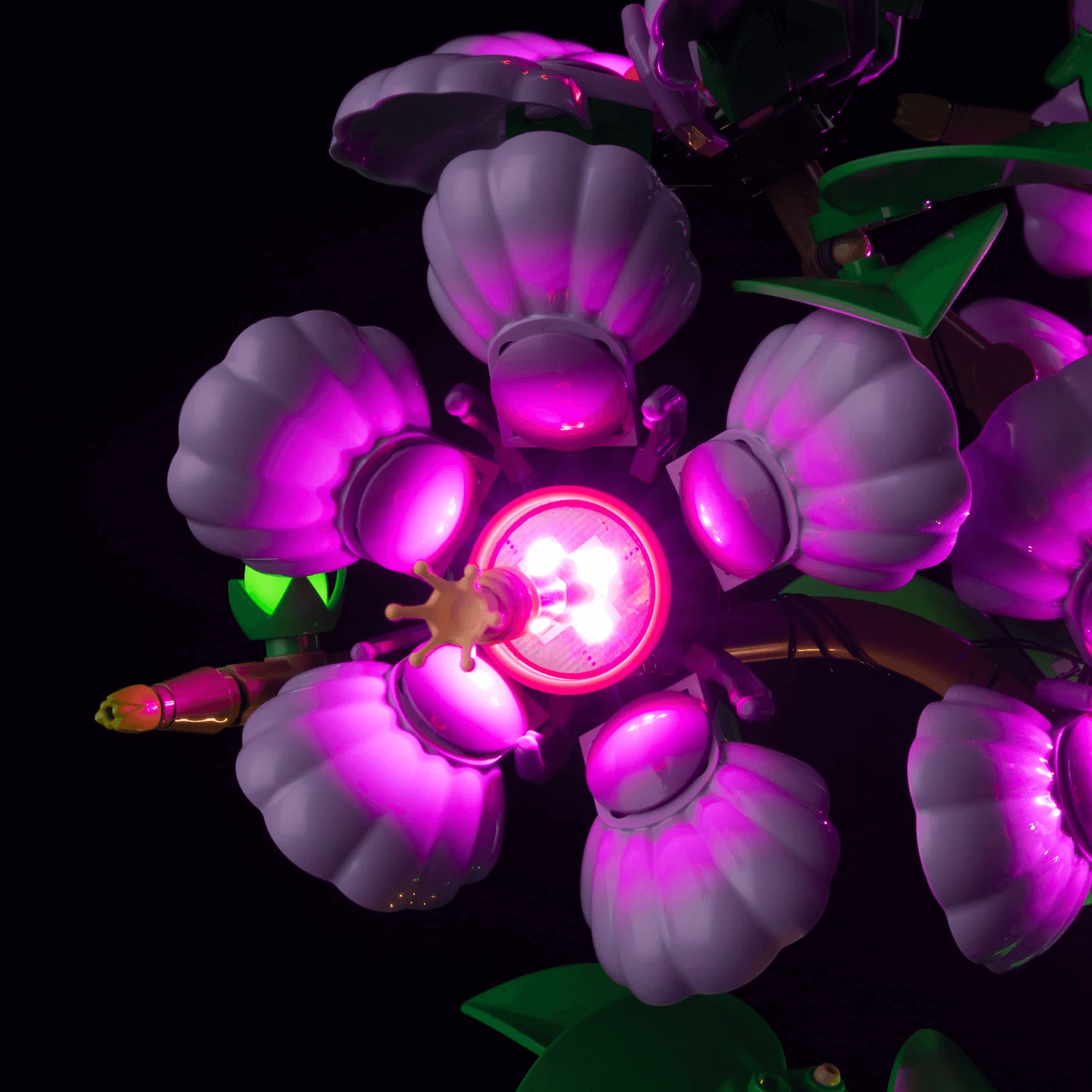 Light Kit For Hibiscus 10372