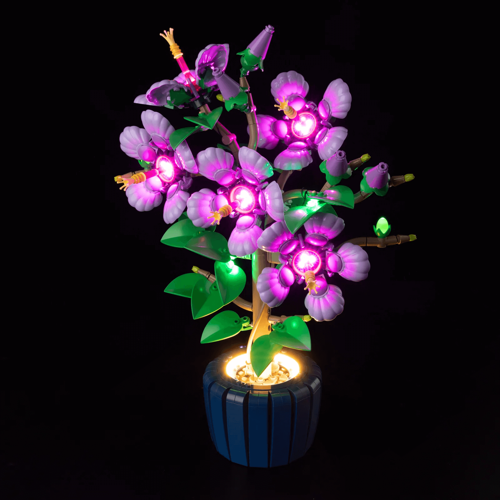Light Kit For Hibiscus 10372