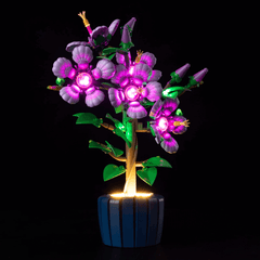 Light Kit For Hibiscus 10372
